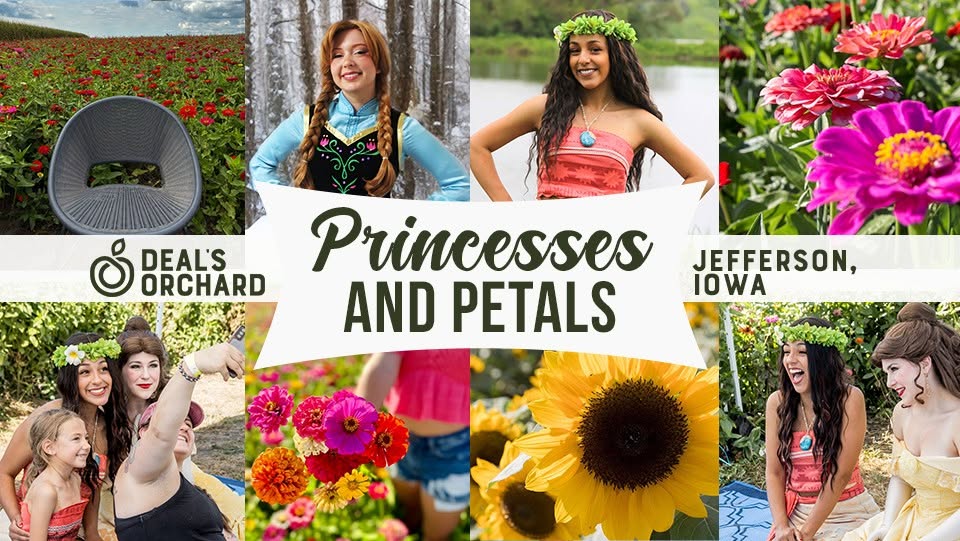 Banner of princesses
