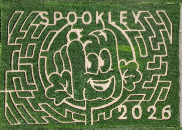 Corn Maze 2026 Aerial shot of a Spookley themed Corn Maze